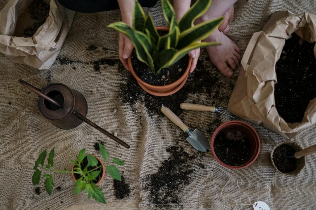 An organized table with nursery pots, saucers, potting mix, and a houseplant