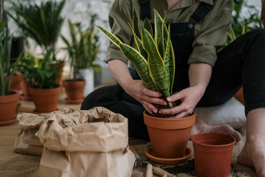Hand testing moisture in a houseplant potting mix