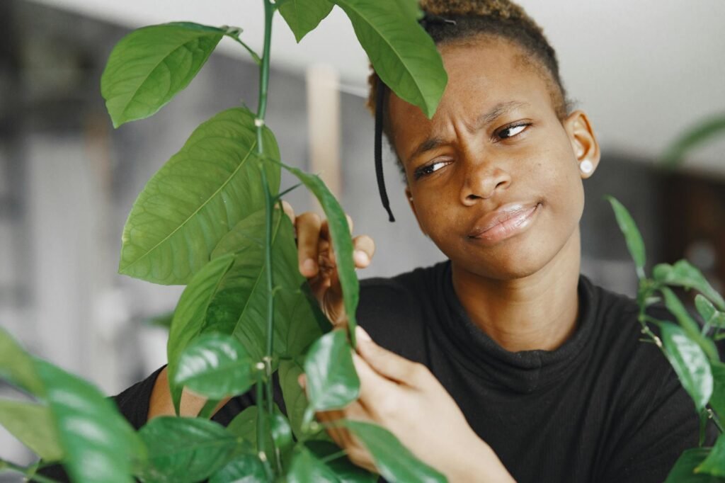 A close-up of a person checking the underside of a houseplant leaf