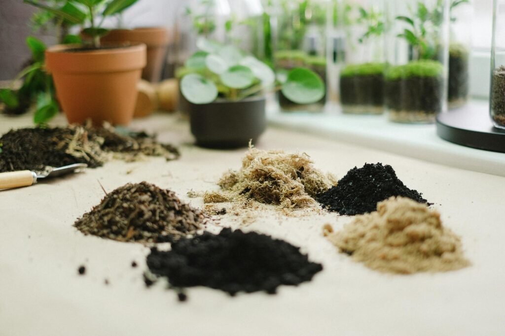 Basic repotting supplies arranged on a clean table.