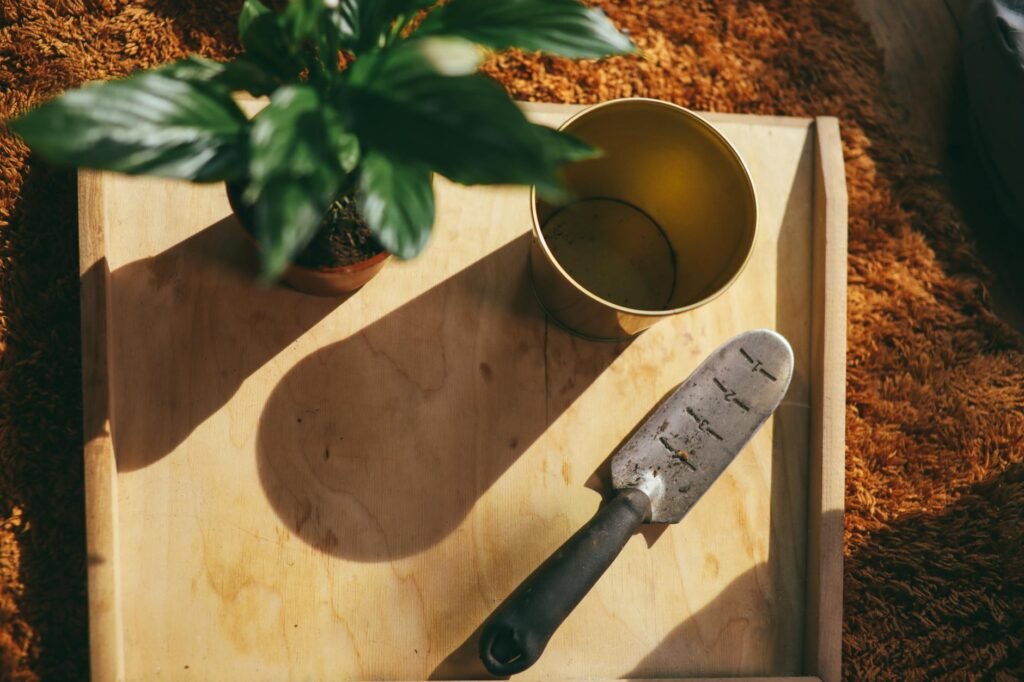 Yellow sticky traps placed in a potted houseplant near the soil surface.