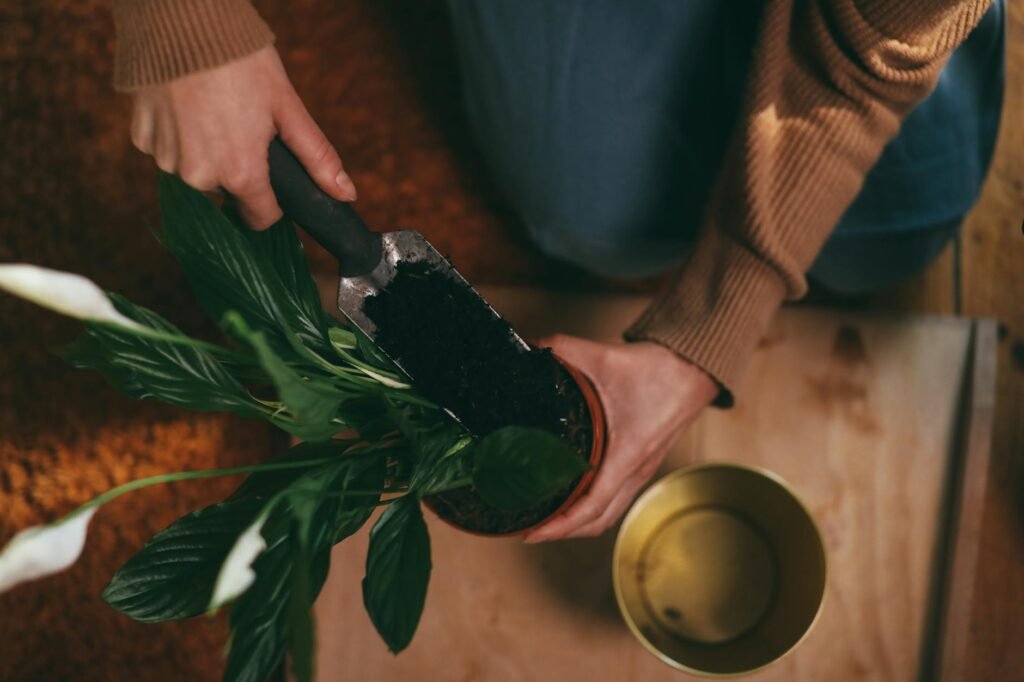 A hand checking the soil of a potted indoor plant near a bright window