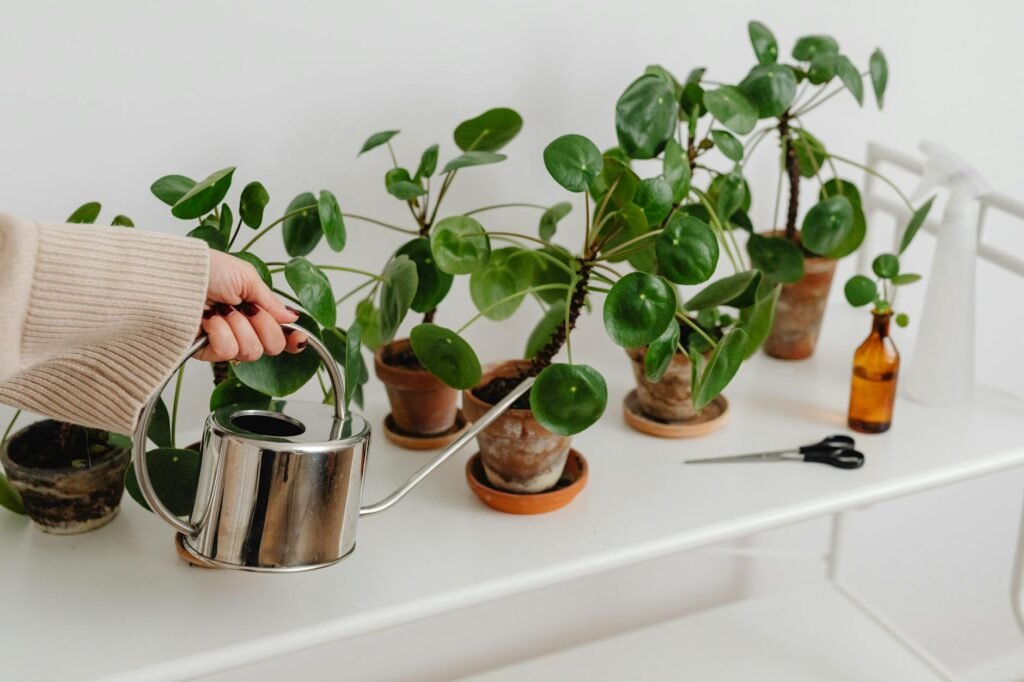 A hand checking the top layer of potting soil next to a houseplant watering can.
