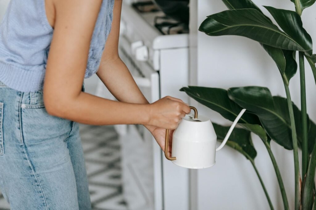 A plant care setup with a notebook, watering can, and small indoor plants