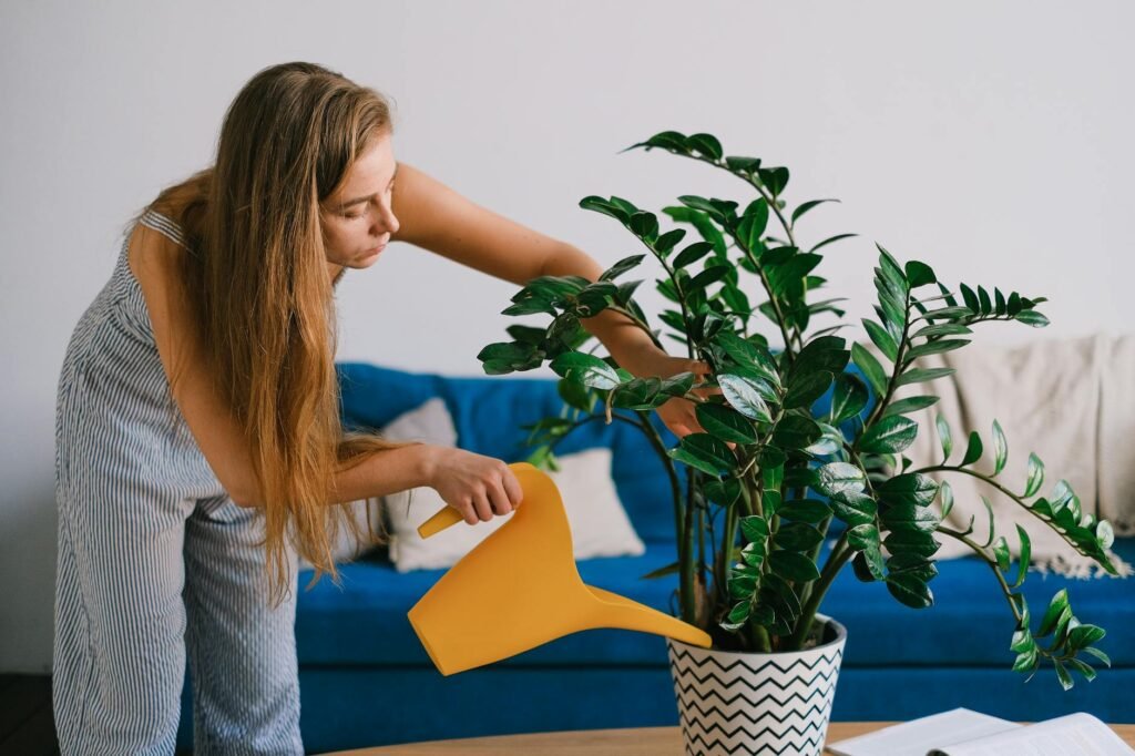 A houseplant with a mix of yellow and green leaves next to a watering can and notes