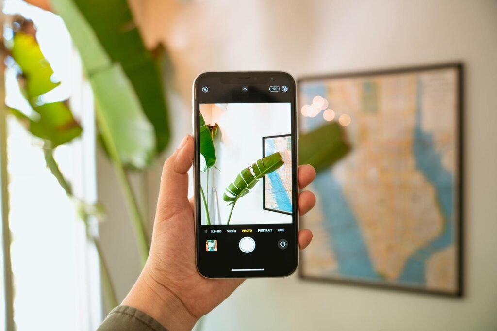 A person checking light at leaf level beside a houseplant