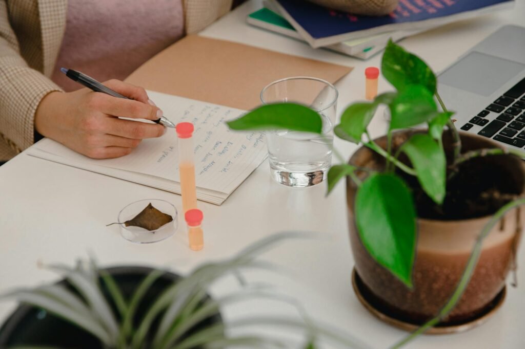 A notebook and plant care supplies beside a potted plant in a bright room