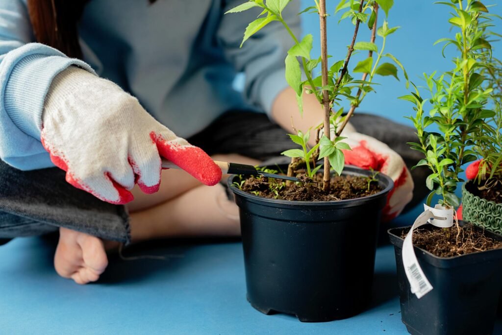 A hand checking the soil of a potted houseplant