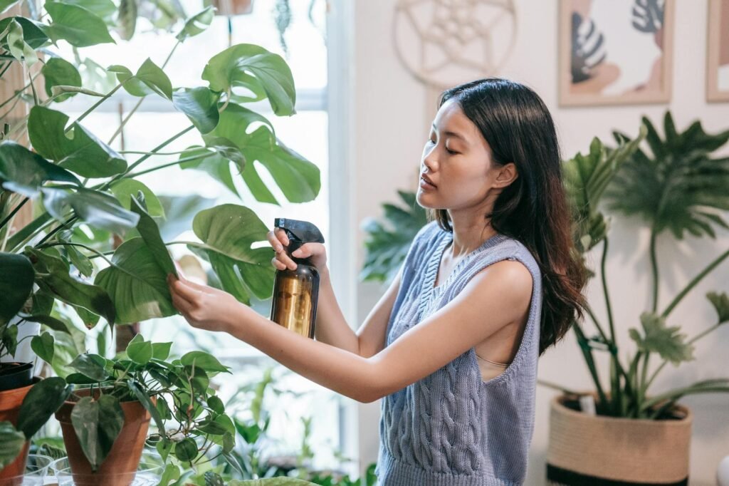 Several indoor plants grouped near a humidifier in a bright room.