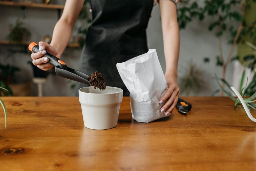A repotting workspace with a nursery pot, fresh potting mix, and a saucer.