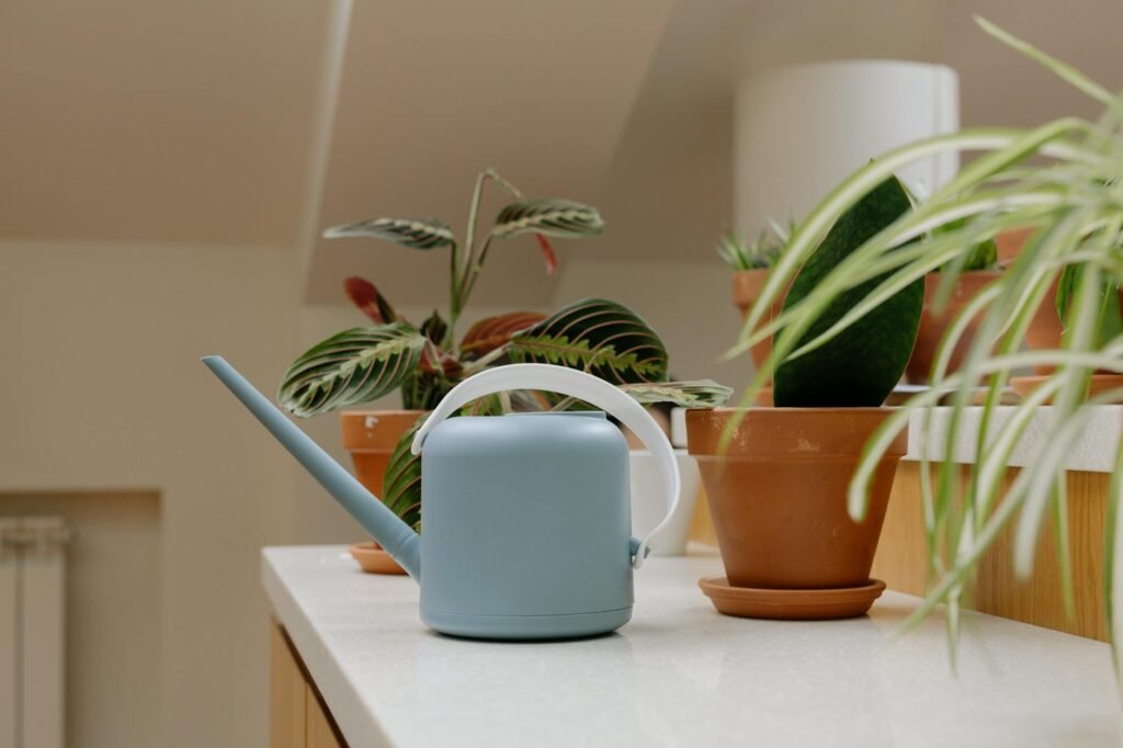 A tidy plant care setup with a notebook, wooden skewer, and watering can