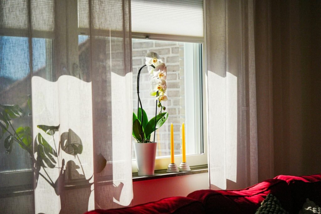 A new houseplant set apart from other plants on a bright windowsill with its own saucer and sticky card