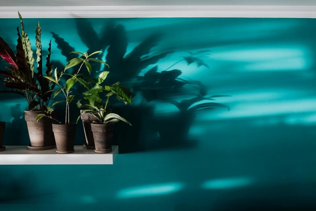 A digital hygrometer sitting beside tropical houseplants on an indoor shelf.