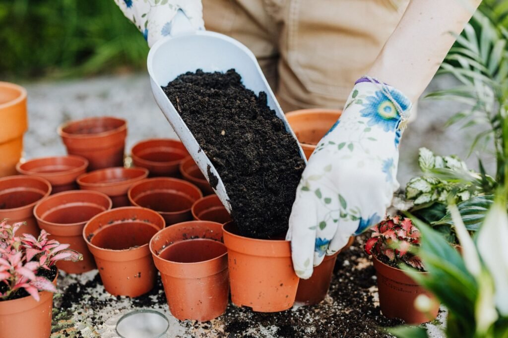 White crust on potting soil and the rim of a terracotta container