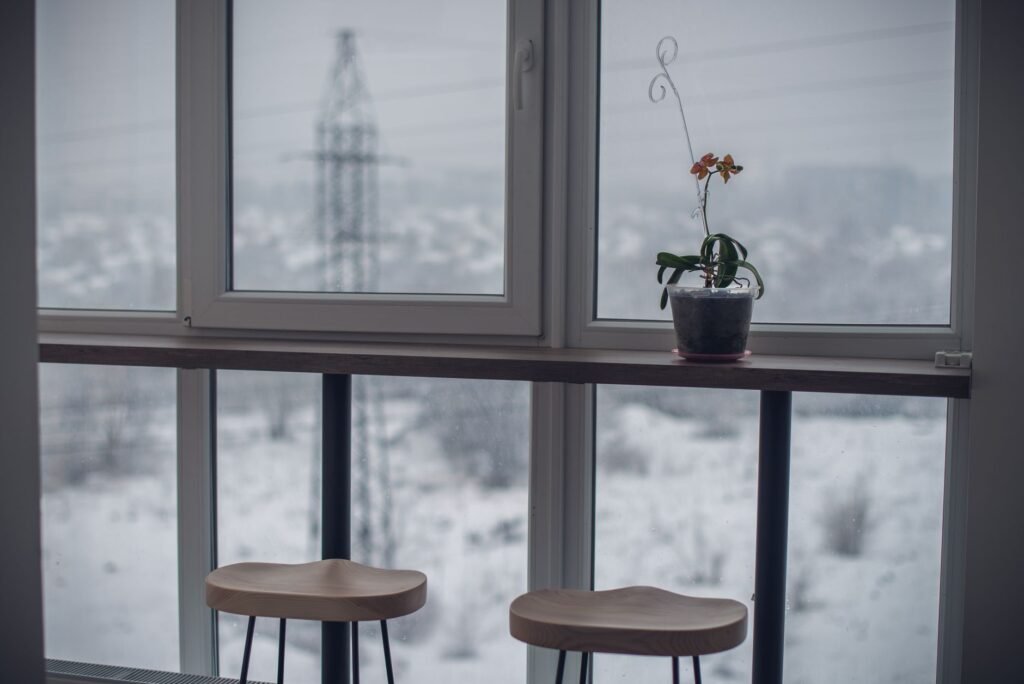 A single houseplant sitting apart from other plants on a separate table