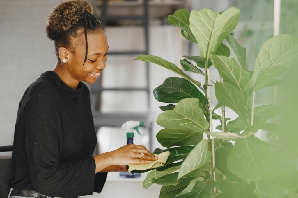 A person gently wiping a broad houseplant leaf with a soft cloth