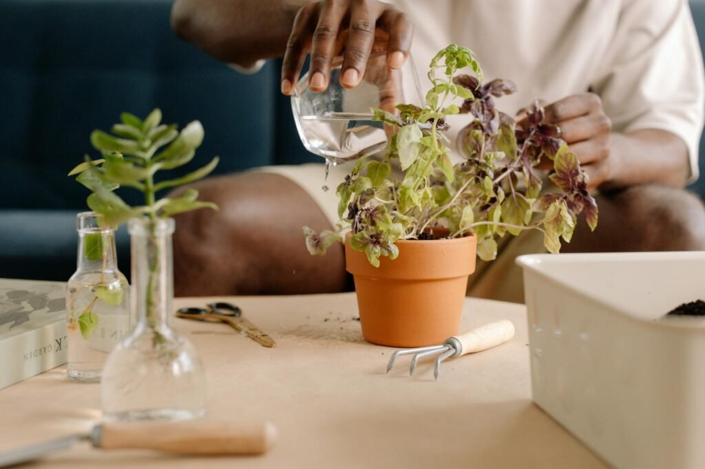 A tidy plant care workspace with tools for inspecting and resetting a houseplant
